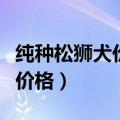 纯种松狮犬价格大概多少钱一只（纯种松狮犬价格）