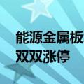能源金属板块异动拉升 寒锐钴业、华友钴业双双涨停