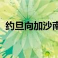 约旦向加沙南部地区空投人道主义援助物资
