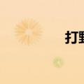 打野英文名（打野英文）