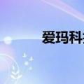 爱玛科技：副总经理拟减持股份