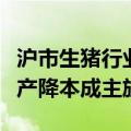 沪市生猪行业集体路演：上半年业绩回暖，扩产降本成主旋律