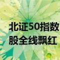 北证50指数日内大涨超10%  北交所253只个股全线飘红