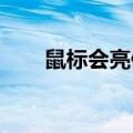 鼠标会亮但是移动不了（鼠标flash）