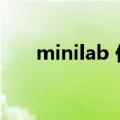minilab 价格（minilab是什么牌子）