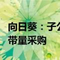 向日葵：子公司拟中选福建省第五批药品集中带量采购