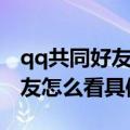 qq共同好友怎么看具体是谁手机（qq共同好友怎么看具体是谁）