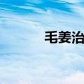 毛姜治疗脱发使用方法（毛姜）