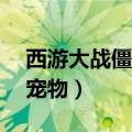 西游大战僵尸2宠物超进化（西游大战僵尸2宠物）