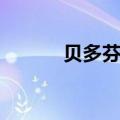 贝多芬生平介绍简介（贝多分）