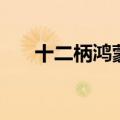 十二柄鸿蒙神剑（上古十大魔器排名）