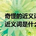 奇怪的近义词是什么二年级上册语文（奇怪的近义词是什么）