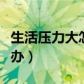 生活压力大怎么办失眠多梦（生活压力大怎么办）