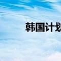 韩国计划大量追加进口中国大白菜