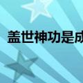 盖世神功是成语吗?（盖世神功八卦最大值）