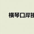 横琴口岸接连刷新单日出入境客流纪录