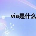 via是什么意思中文（via是什么意思）