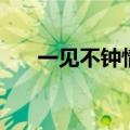 一见不钟情剧情（一见不钟情大结局）