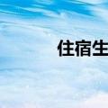 住宿生必备大牌（住宿生必备）