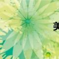 美股中概股盘前走高