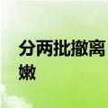 分两批撤离！69名中国公民40小时撤出黎巴嫩