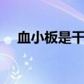 血小板是干什么用的（血小板是什么梗）