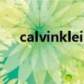 calvinklein是什么牌子（calvinklein）