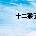 十二猴子有续集吗（12猴子结局）