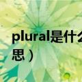 plural是什么意思中文翻译成（plural什么意思）