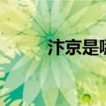 汴京是哪里的首都（汴京是哪里）