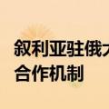 叙利亚驻俄大使：叙利亚已申请加入金砖国家合作机制