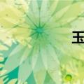 玉项链图片（玉项链）