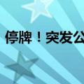 停牌！突发公告！多只场内基金“涨到停牌”