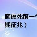 肺癌死前一个星期征兆顺序（肺癌死前一个星期征兆）