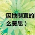 因地制宜的因什么意思?（因地制宜的因是什么意思）