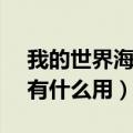 我的世界海之眷顾wiki（我的世界海之眷顾有什么用）