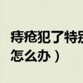 痔疮犯了特别疼怎么办缓解（痔疮犯了特别疼怎么办）