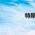 特斯拉美股盘前下跌4.5%