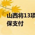 山西将13项治疗性辅助生殖技术项目纳入医保支付