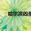 哈尔滨凶杀案2020年（哈尔滨杀人犯）