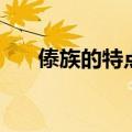 傣族的特点和风俗衣服（傣族的特点）