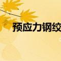 预应力钢绞线标注图解（预应力钢绞线）