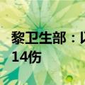 黎卫生部：以军袭击黎巴嫩西部地区 已致5死14伤