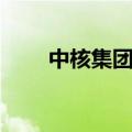 中核集团漳州核电1号机组获批装料