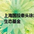 上海国投牵头徐汇资本、米哈游、商汤等成立百亿人工智能生态基金