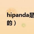 hipanda是什么牌子（hipanda是哪个国家的）