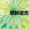 朝鲜谴责韩国使用无人机渗透至平壤