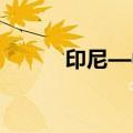 印尼—中国伙伴关系研究院成立