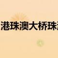 港珠澳大桥珠海公路口岸迎来车辆进出境高峰