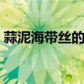 蒜泥海带丝的做法凉拌（蒜泥海带丝的做法）